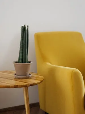 Sillón moderno
