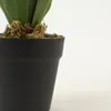 Planta Yucca 35cm - Color Unico en Multicolor - Muebles para el exterior, Uruguay | Indian, vista 4 de 4