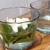 Bowl Glass - Macetas, Uruguay | De Arcos, vista 2 de 2