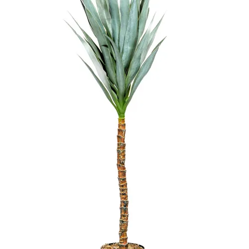 Planta Mandioca 110cm - Color Unico en Multicolor - Muebles para el exterior, Uruguay | Indian