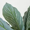 Planta Aglaonema 40cm - Color Unico en Multicolor - Muebles para el exterior, Uruguay | Indian, vista 2 de 5