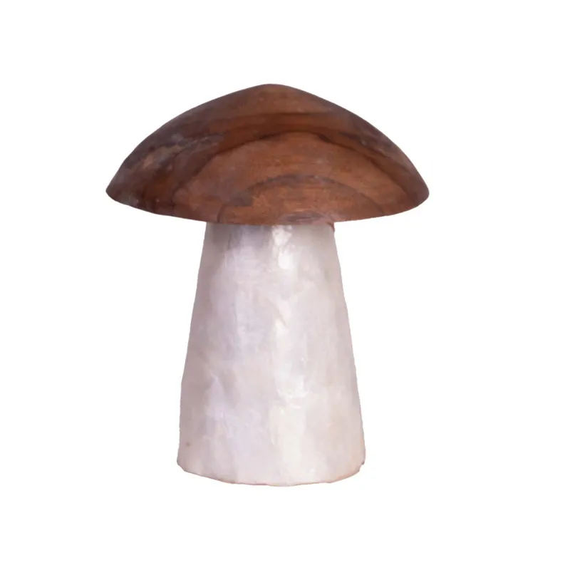 Adorno Decorativo Madera-de-teca Blanco Mushroom, Blanco en Blanco - Decoración, Uruguay | Divino