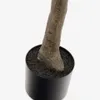 Árbol artificial Ficus con maceta negra 210 cm en Madera natural - Macetas, Uruguay | Kavehome, vista 4 de 5