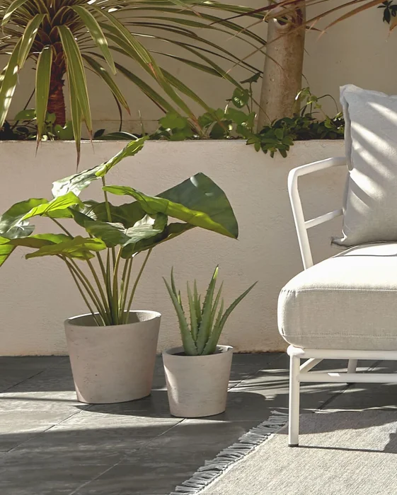 Planta artificial Alocasia Odora con maceta negro 57 cm en Negro - Macetas, Uruguay | Kavehome, vista 2