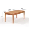 MESA DE CENTRO RIADE 100x50x43CM JATOBA - Muebles para el exterior, Uruguay | Vinibel, vista 3 de 7