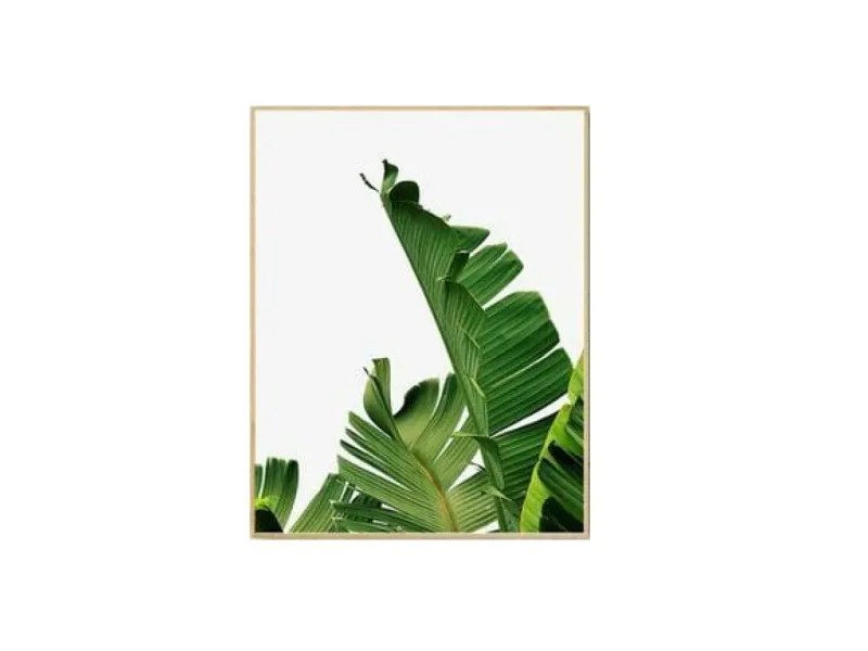 Marco Natural Banana Leaves I en Madera natural - Decoración de pared, Uruguay | Finkel