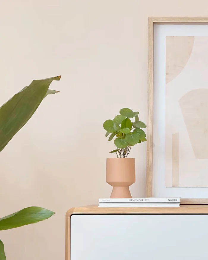 Planta artificial Bailey con maceta de cerámica rosa 21,6 cm en Rosa - Macetas, Uruguay | Kavehome, vista 2