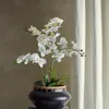 Maceta Orquídea blanca - Decoración, Uruguay | Martinika Deco, vista 3 de 6