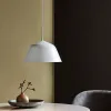 Lampara de techo Skive en Negro - Lámparas colgantes, Uruguay | Alta Gracia Deco, vista 2 de 4