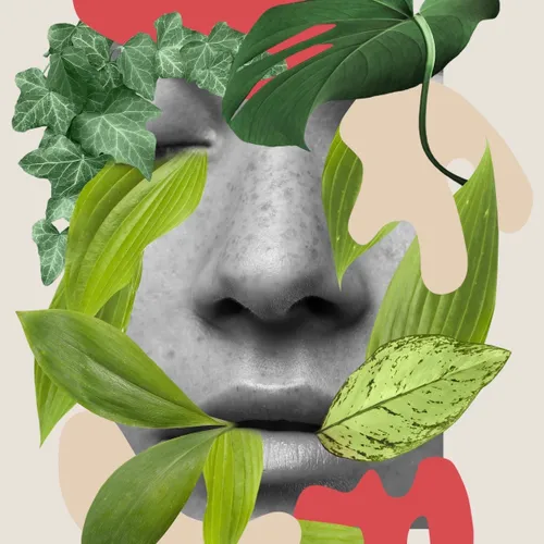 Verde - Láminas, Uruguay | Mara Estudio
