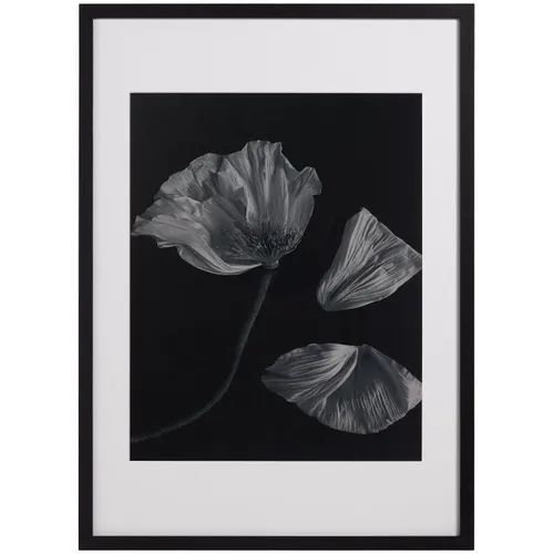 Flora 2 - Decoración, Uruguay | BoConcept