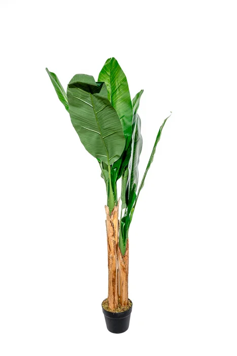 Planta Arum 120cm - Color Unico en Multicolor - Muebles para el exterior, Uruguay | Indian