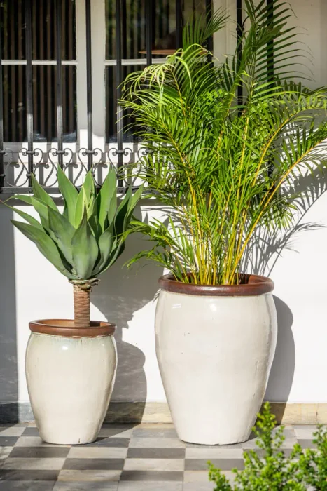 Ernest Creamy White en Mediana - Macetas, Uruguay | Balcony, vista 4