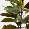 Árbol artificial Magnolia con maceta blanca 160 cm en Multicolor - Macetas, Uruguay | Kavehome, vista 2 de 5