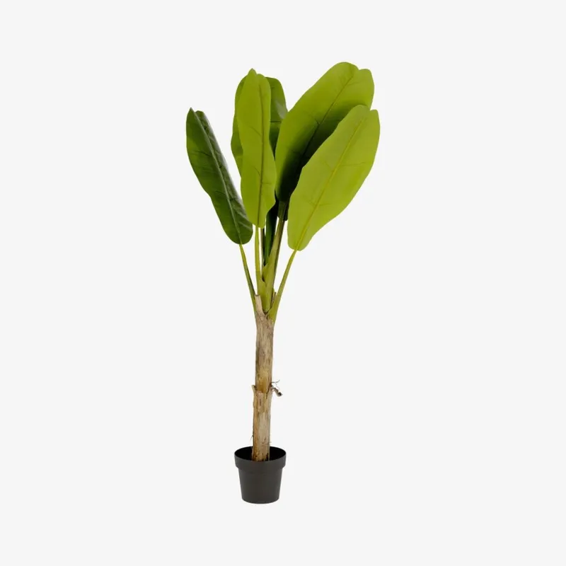 Planta artificial Banano con maceta negro 160 cm en Verde - Macetas, Uruguay | Kavehome