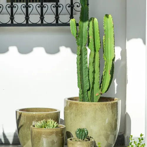 Kate Olive - Macetas, Uruguay | Balcony