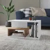 Mesa de Centro Ratona - Nicho - Mesas de living, Uruguay | Delta Center, vista 1 de 4