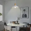 LÁMPARA TECHO ESTOCOLMO en Blanco - Lámparas colgantes, Uruguay | HomeTouch, vista 2 de 2