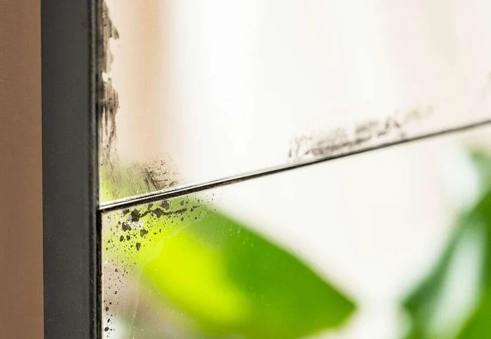 ESPEJO AÑEJADO DE HIERRO NEGRO - 1.70 X 0.80 MTS en Negro - Espejos, Uruguay | La Iberica, vista 3