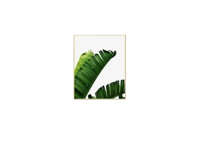 Marco Natural Banana Leaves II en Madera natural - Decoración de pared, Uruguay | Finkel