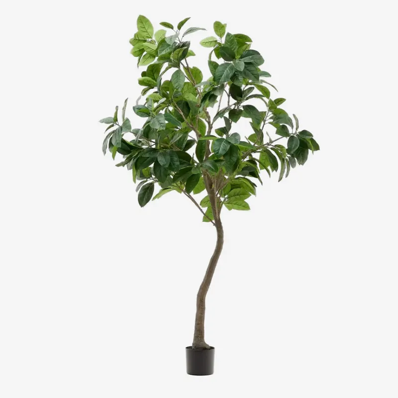 Árbol artificial Ficus con maceta negra 210 cm en Madera natural - Macetas, Uruguay | Kavehome