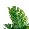 Planta Monstera 85cm - Color Unico en Multicolor - Muebles para el exterior, Uruguay | Indian, vista 2 de 4