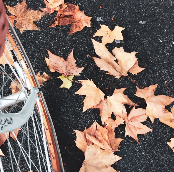 Otoño mood - Láminas, Uruguay | Mara Estudio