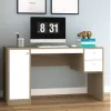 Escritorio 1 puerta 2 cajones Nogal/Negro - Escritorios y sillas de escritorio, Uruguay | Que Sal Muebleria, vista 11 de 14