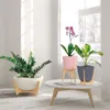 MACETA C/BASE MADERA 38X20CM TRYAS ROSA - Macetas, Uruguay | Decohogar, vista 3 de 5