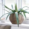 Maceta SIVERT Ø26xA23cm marrón en Marrón - Macetas, Uruguay | JYSK, vista 4 de 4