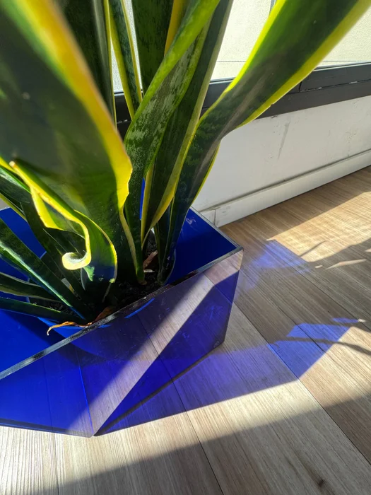 Porta Maceta en Azul - Macetas, Uruguay | Mara Estudio, vista 3
