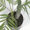 Planta artificial Palmera con maceta negro 70 cm en Negro - Macetas, Uruguay | Kavehome, vista 3 de 5