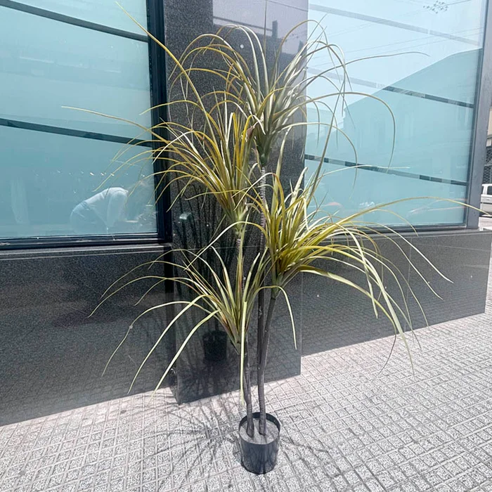 Planta Dracaena artificial 150cm en Negro - Macetas, Uruguay | Alta Gracia Deco, vista 2