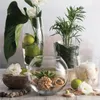 FLORERO PECERA Ø 31 CM H 24CM CRISA en Transparente - Jarrones, Uruguay | Decohogar, vista 2 de 3