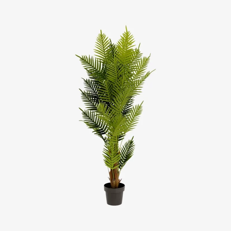 Planta artificial Palmera de helecho con maceta negro 150 cm en Verde - Macetas, Uruguay | Kavehome