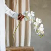 Tallo Orquídea blanco - Decoración, Uruguay | Martinika Deco, vista 1 de 12