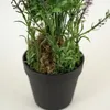 Planta Lavender 48cm - Color Unico en Multicolor - Muebles para el exterior, Uruguay | Indian, vista 3 de 4
