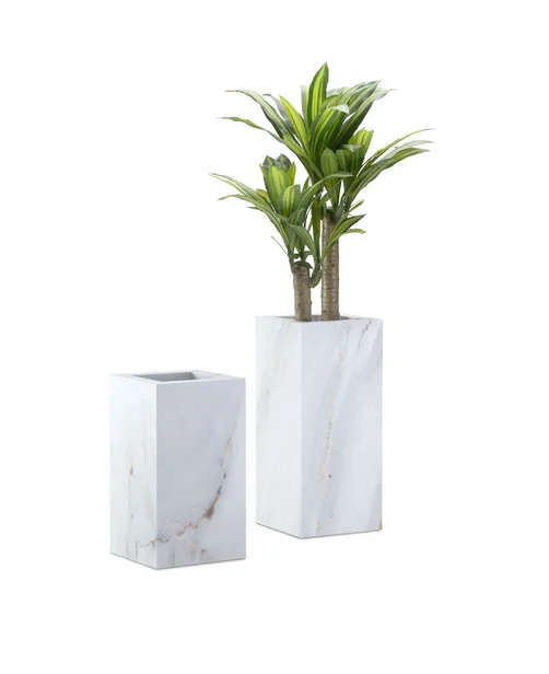 Macetero Marlene - Decoración, Uruguay | Furest