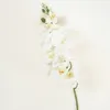 Flor Orquídea Phalaenopsis - Color Unico en Multicolor - Muebles para el exterior, Uruguay | Indian, vista 1 de 2
