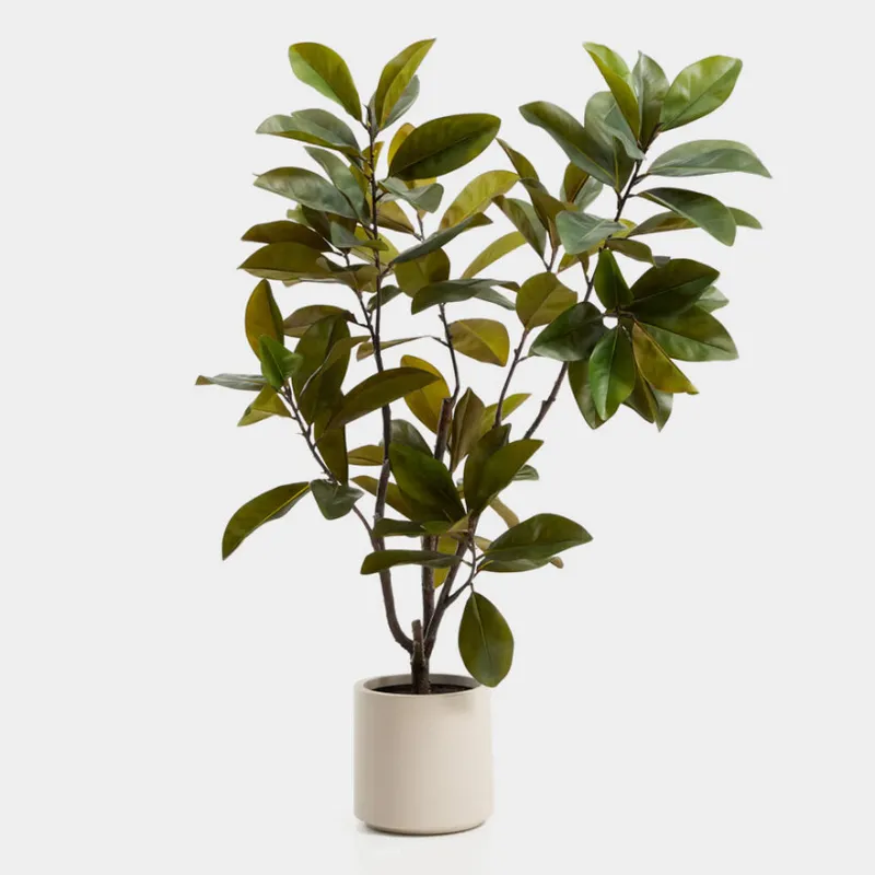 Árbol artificial Magnolia con maceta blanca 160 cm en Multicolor - Macetas, Uruguay | Kavehome