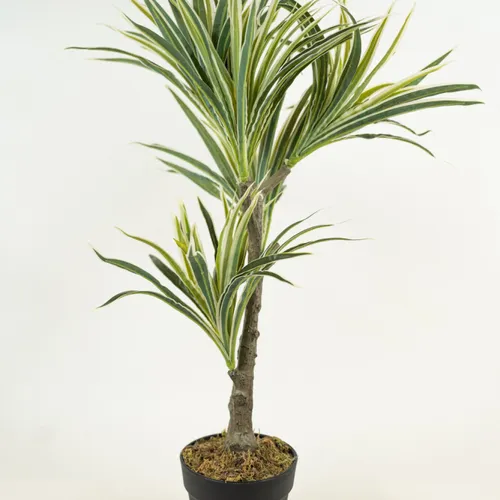 Planta White Grass 70cm - Color Unico en Multicolor - Muebles para el exterior, Uruguay | Indian