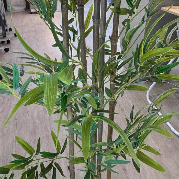 Planta artificial Bambú 160cm en Negro - Macetas, Uruguay | Alta Gracia Deco, vista 2
