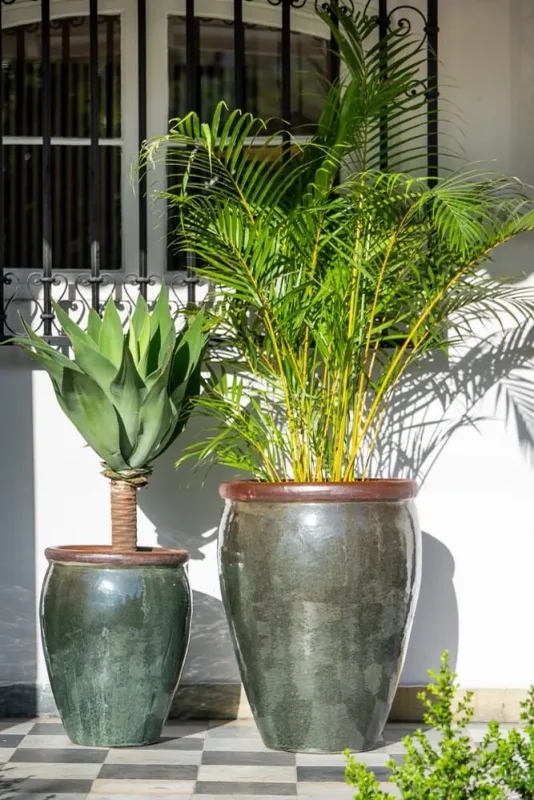 Ernest Moss Green en Mediana - Macetas, Uruguay | Balcony, vista 6