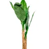 Planta Arum 120cm - Color Unico en Multicolor - Muebles para el exterior, Uruguay | Indian, vista 1 de 4