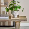 Florero Poldor - Decoración, Uruguay | Martinika Deco, vista 4 de 6