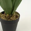 Planta Yucca 35cm - Color Unico en Multicolor - Muebles para el exterior, Uruguay | Indian, vista 3 de 4