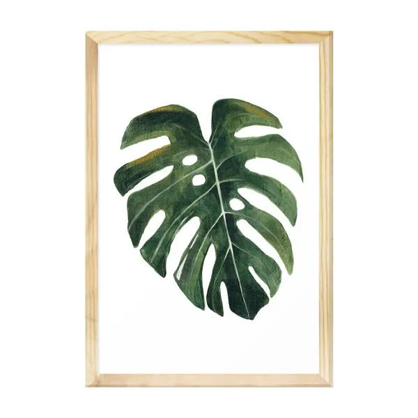 Cuadro / Lámina decorativa 30x40cm Hojas y Plantas 1 - Decoración de pared, Uruguay | Alta Gracia Deco