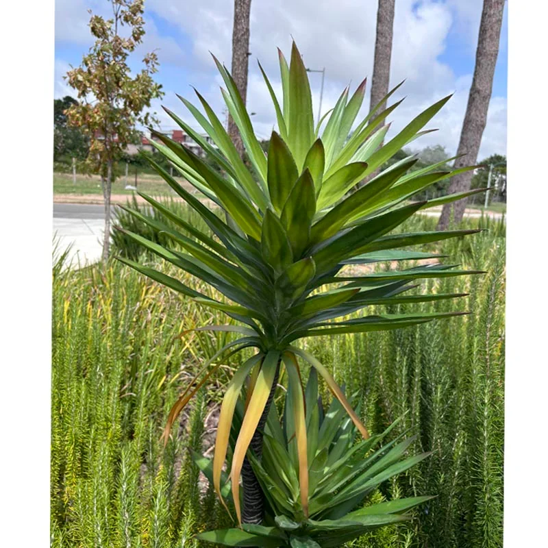 Planta artificial Yucca 165cm en Negro - Macetas, Uruguay | Alta Gracia Deco, vista 4