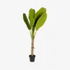 Planta artificial Banano con maceta negro 160 cm en Verde - Macetas, Uruguay | Kavehome, vista 1 de 3