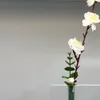 FLORERO - Jarrones, Uruguay | Vivai, vista 4 de 7